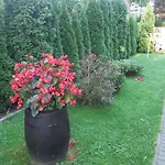 Pokoj Pod Giewontem